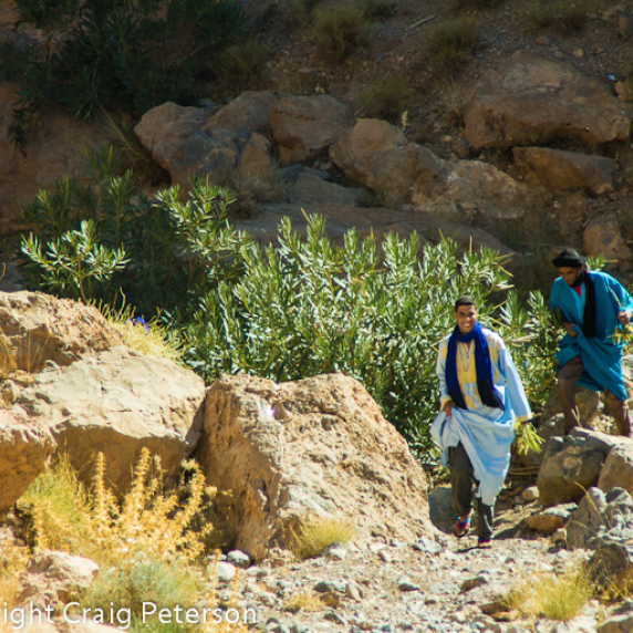 _mg_2723.jpg