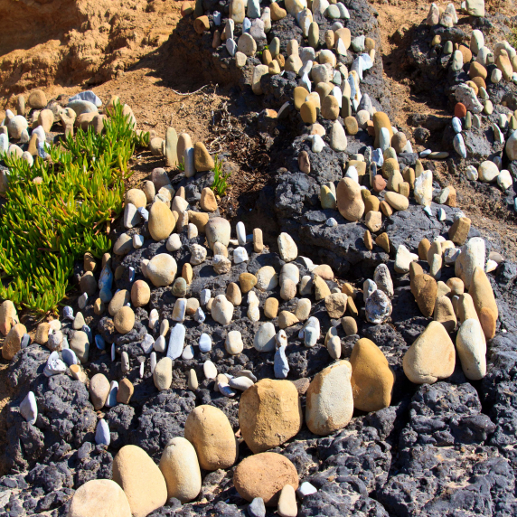 beachartsb-2-2.jpg