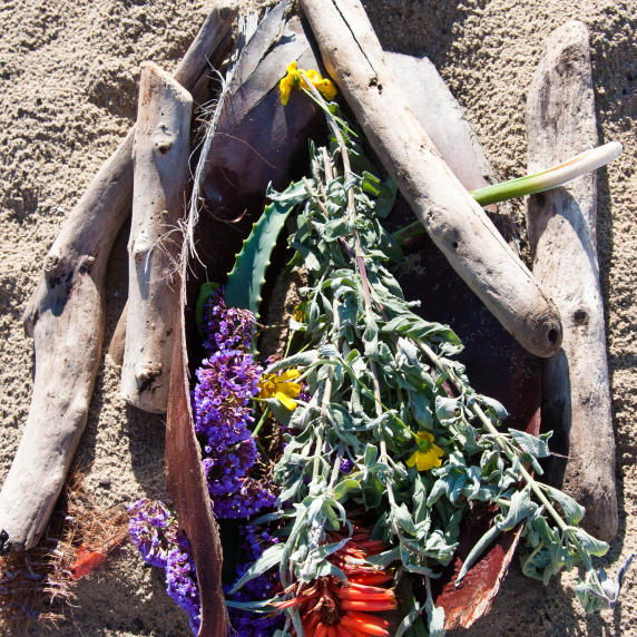 beachartsb-2.jpg