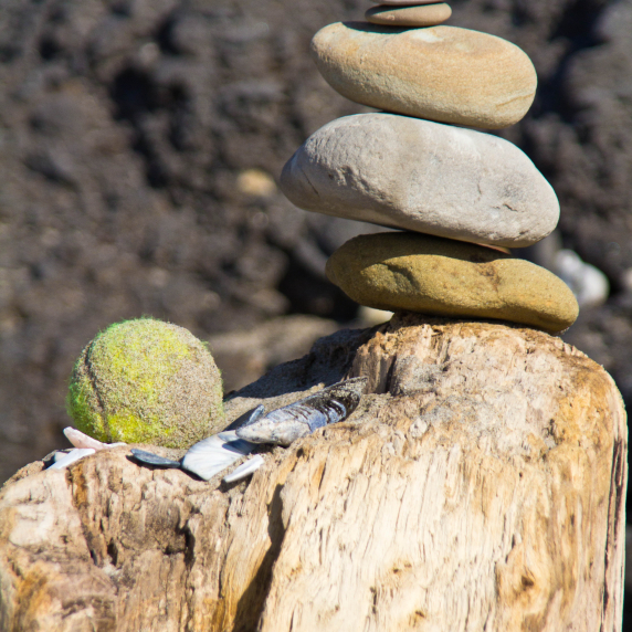 beachartsb-5.jpg