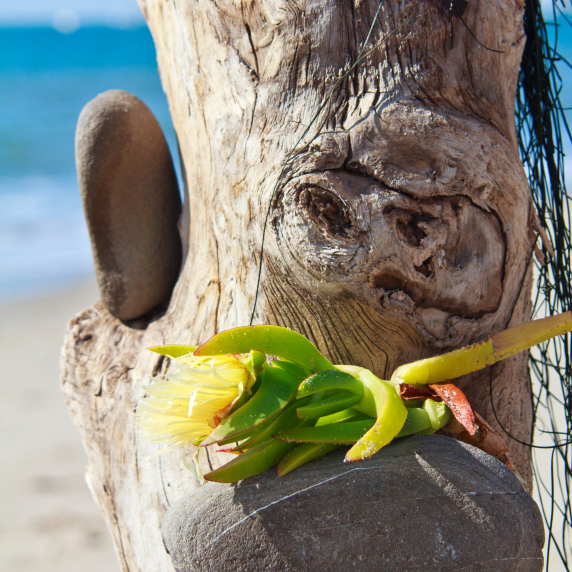 beachartsb-8.jpg