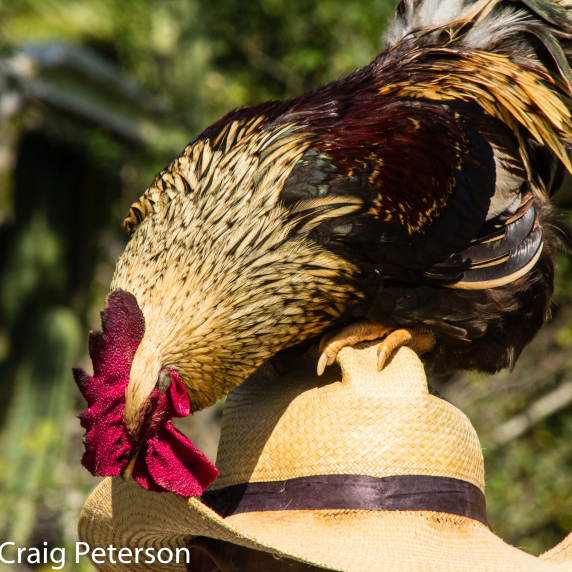 cuba_for_indiemade-48.jpg