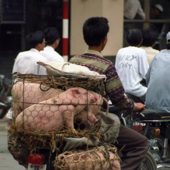 hanoi252c2520vietnam.jpg