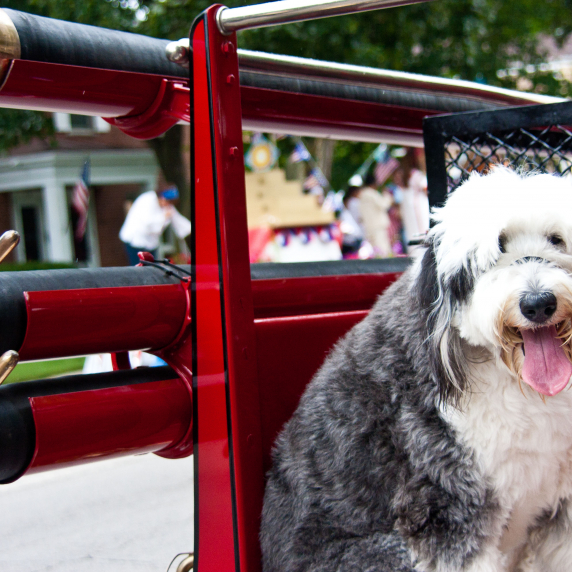 indep_day_parades-16.jpg