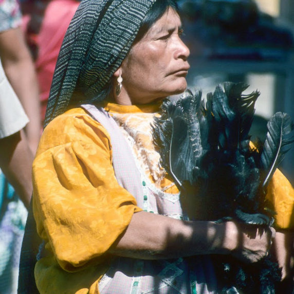 oaxaca252c2520mexico2520252822529.jpg