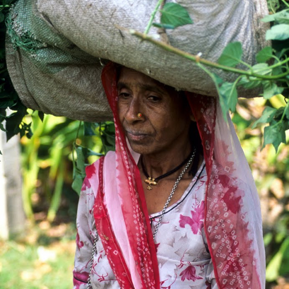 rural2520india.jpg