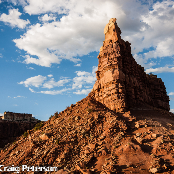 rural_new_mexico-8.jpg