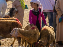 Berber market near Ouarzazate, Morocco