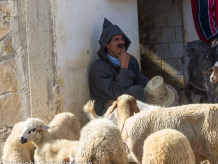 Rural souk near Ouarzazate, Morocco