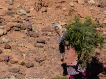 Rural Morocco