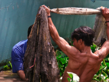 can tho vietnam.jpg can tho vietnam.jpg