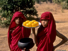 burma.jpg  burma.jpg