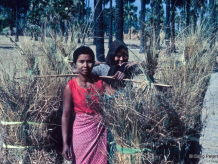 outside bagan burma.jpg