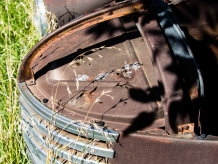 Truck hood in apple orchard