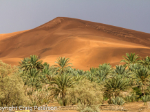 Merzouga, Morocco